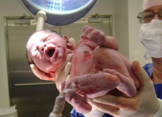 7 anos passaram desde sua chegada 7 anos passaram