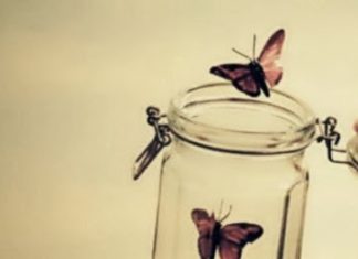 Desapegar é preciso