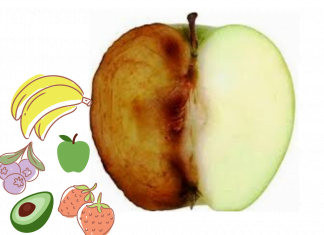 Como conservar frutas cortadas na lancheira Conservar frutas cortadas na lancheira