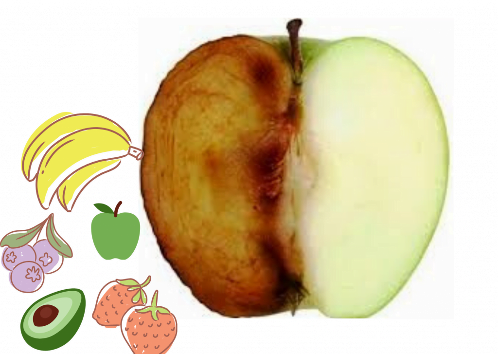 Conservar frutas cortadas na lancheira