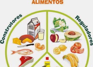 Lancheira escolar equilibrada