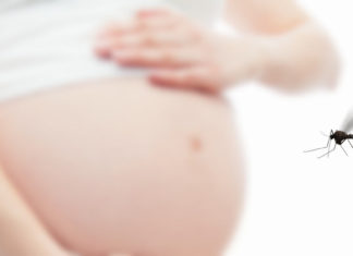Gravidez e o vírus Zika