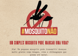 Aedes aegypti – 26 perguntas e respostas