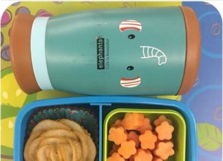 10 lanches infantis com formatos de flor para crianças mamão cortado em formato de flor