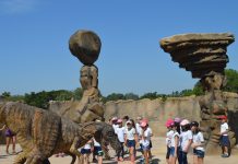 Ecologic Park prepara dias especiais para famílias: Family Day EnglishVacation-Acampamento02 - Ecologic Park