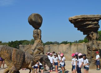 Ecologic Park prepara dias especiais para famílias: Family Day EnglishVacation-Acampamento02 - Ecologic Park