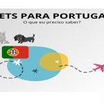 Como levar seu pet para Portugal
